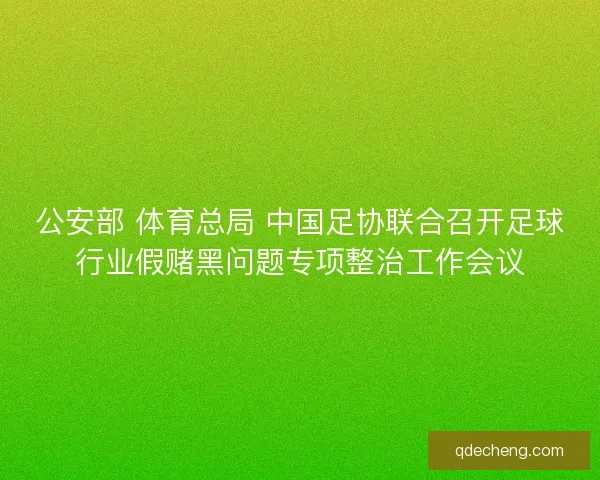 公安部 体育总局 中国足协联合召开足球行业假赌黑问题专项整治工作会议 公安部 体育总局 中国足协联合召开足球行业假赌黑问题专项整治工作会议