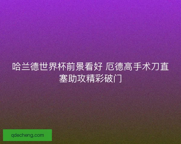 哈兰德世界杯前景看好 厄德高手术刀直塞助攻精彩破门