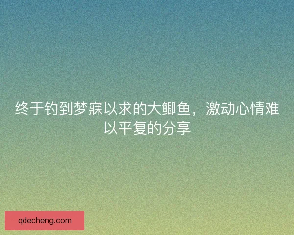 终于钓到梦寐以求的大鲫鱼,激动心情难以平复的分享 终于钓到梦寐以求的大鲫鱼,激动心情难以平复的分享