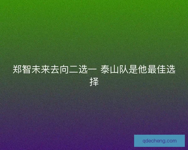 郑智未来去向二选一 泰山队是他最佳选择